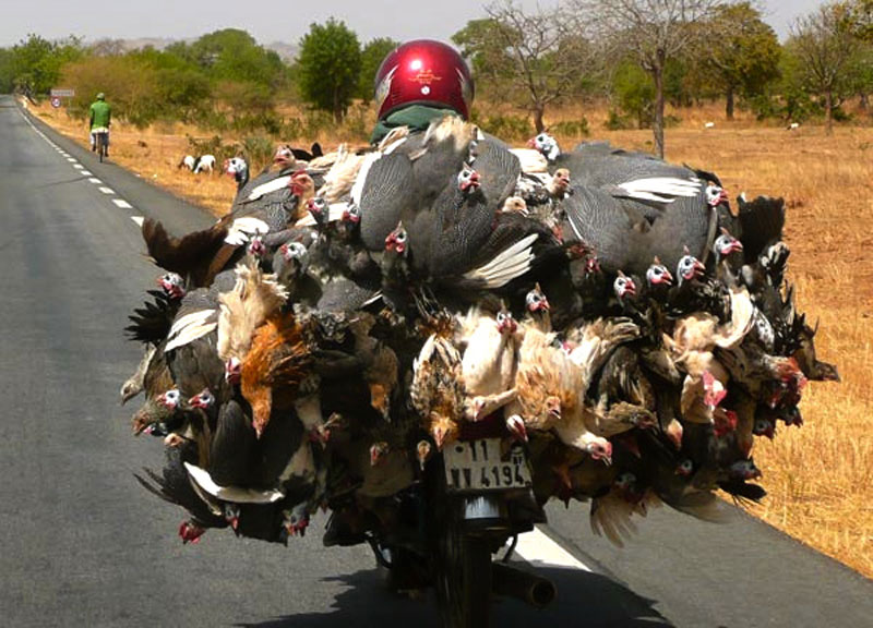Burkina Faso